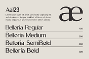 Belloria - Elegant Sans-Serif Family, a Sans Serif Font by Indotype Foundry (Thumbnail 2 of 10)