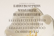 Narque Holden Gold Font Duo, a Serif Font by Storytype Studio (Thumbnail 12 of 15)