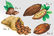 Cocoa Bean & Fruit Watercolor, a Food Illustration by andypray (Thumbnail 2 of 5)