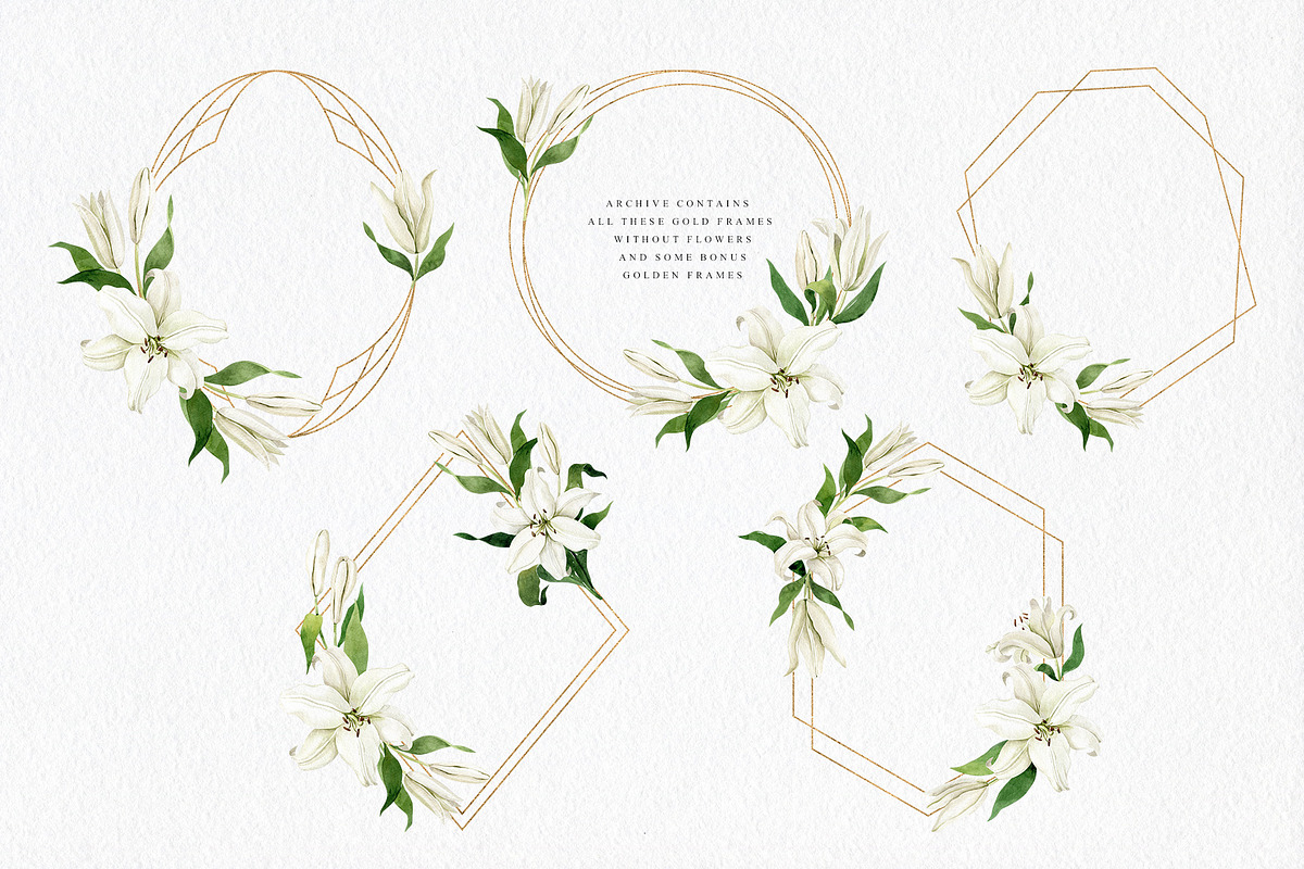 White Lilies Watercolor Set, an Illustration by Natalia Fedorova (Photo 6 of 12)