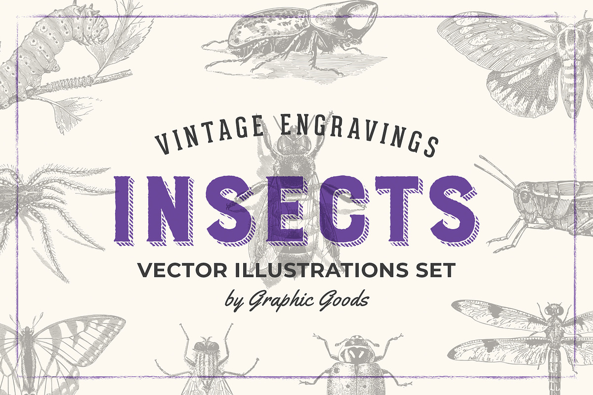 Insects - Vintage Illustrations, an Illustration by Graphic Goods (Photo 1 of 10)