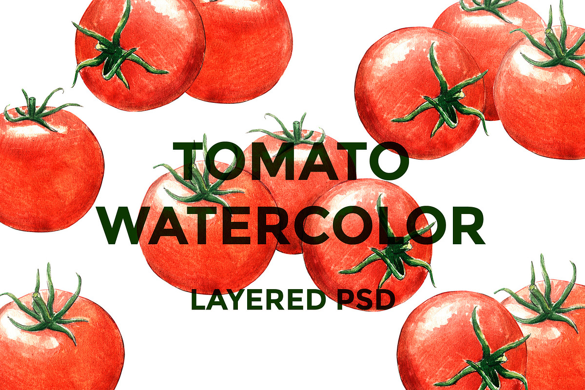 Tomato watercolor set, a Food Illustration by wedraw (Photo 1 of 4)