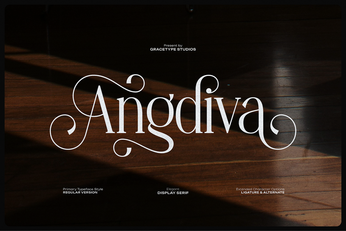 Angdiva | Display Serif Font, a Serif Font by gracetype_studio (Photo 1 of 11)