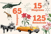 World's Best Collage Creator, an Animal Illustration by SNIPESCIENTIST (Thumbnail 17 of 48)