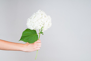 hand holding flowers