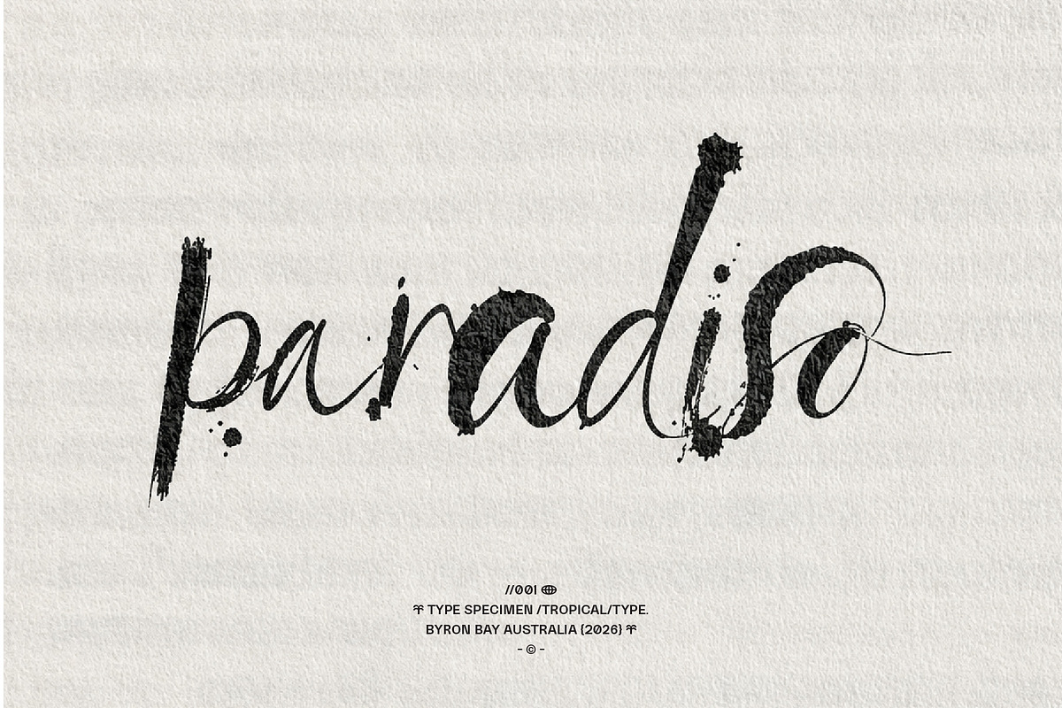 Spilt Milk Brush Font, a Handwritten Font by Tropical Type (Photo 8 of 9)