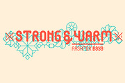 NT Rashmir, a Sans Serif Font by NovoTypo (Thumbnail 4 of 5)