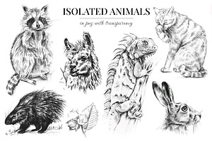 Wild Animals. Sketch Edition. 22 PNG