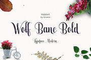 Calligraphy Big Bundle (95%off), a Script Font by groens (Thumbnail 44 of 46)