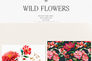 Watercolor Wildflowers & Leaves, a Decorative Illustration by Damian Roh (Thumbnail 10 of 24)
