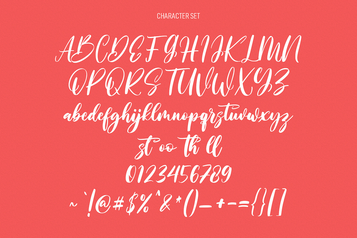 Shineshort Script Font, a Script Font by Maulana Creative (Photo 3 of 8)
