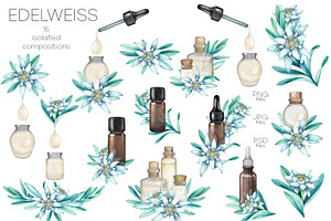 Watercolor Edelweiss Collection