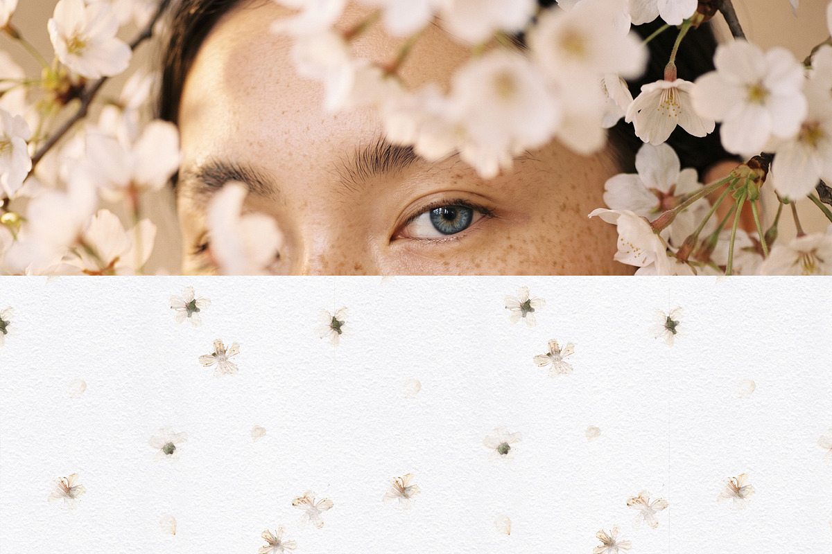 Hana Washi Seamless paper Flower PNG, a Pattern Graphic by mila_leev (Photo 12 of 23)