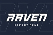 Raven Font, a Sans Serif Font by Burhan Afif (Thumbnail 7 of 7)