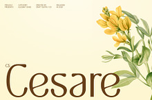 CS Cesare – Elegant Sans Serif