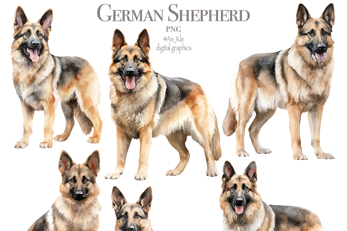 German Shepherd, an Illustration by TheCuteShop (Photo 2 of 3)