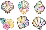 Hand Drawn Seashell Clipart, an Illustration by Designking (Thumbnail 3 of 5)