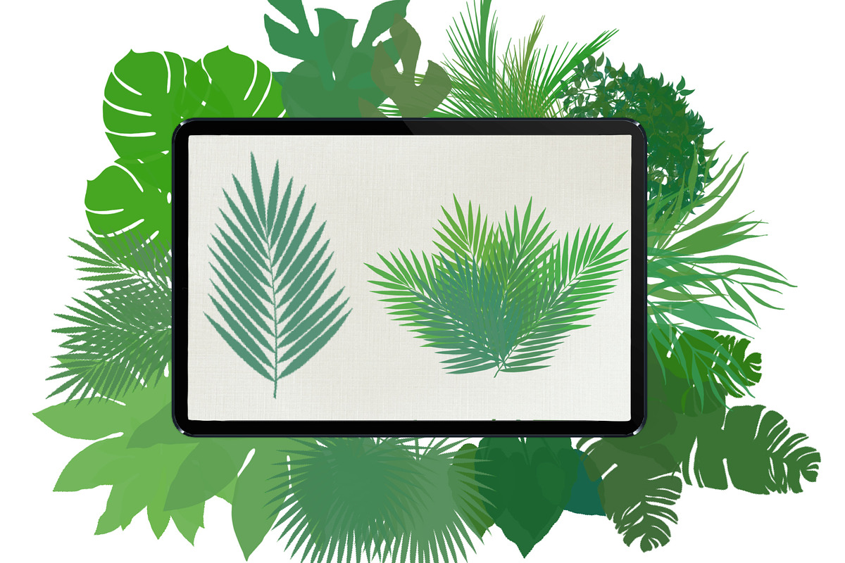 Palm leaves brushes for Procreate, a Brush Add-On by AnastasiyaOleynik (Photo 7 of 12)