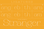 Religan - Modern Serif Font, a Serif Font by Dora Typefoundry (Thumbnail 12 of 22)