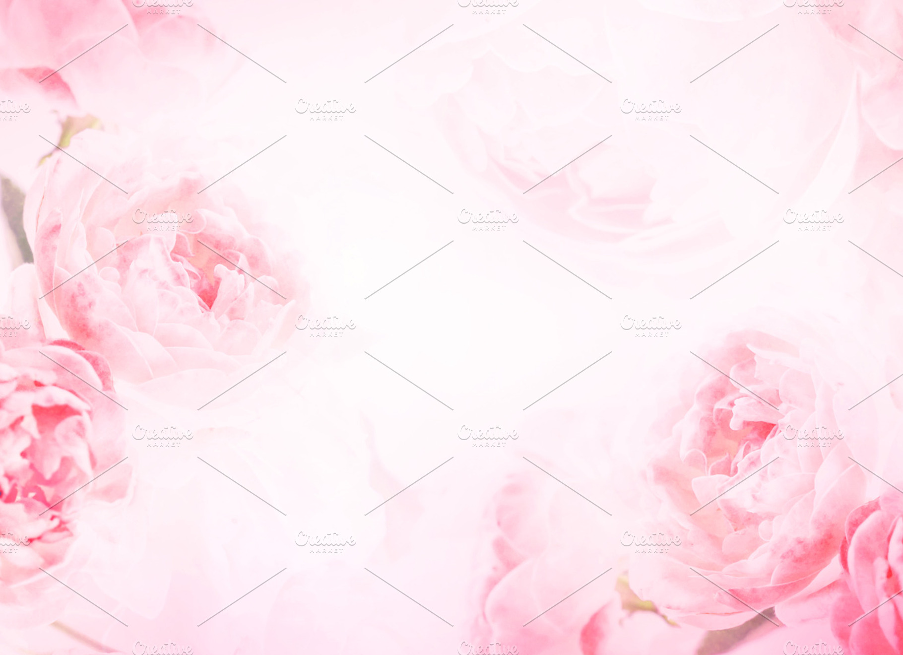 Rose romance background, an Abstract Photo by Cozine