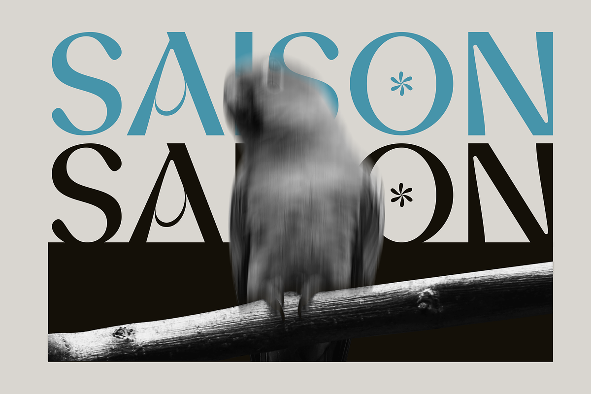Md Bloam - Elegant Sans Serif, a Sans Serif Font by Marvadesign (Photo 4 of 10)