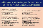 Biblia Serif, Draetha, Araldo Group, a Font by Radiqx Press (Thumbnail 4 of 5)