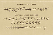 Abigaile Script Font, a Script Font by Deeezy (Thumbnail 8 of 8)