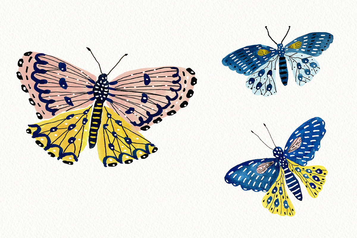 Butterfly Clipart Set, an Animal Illustration by Anna Ivanir (Photo 5 of 5)