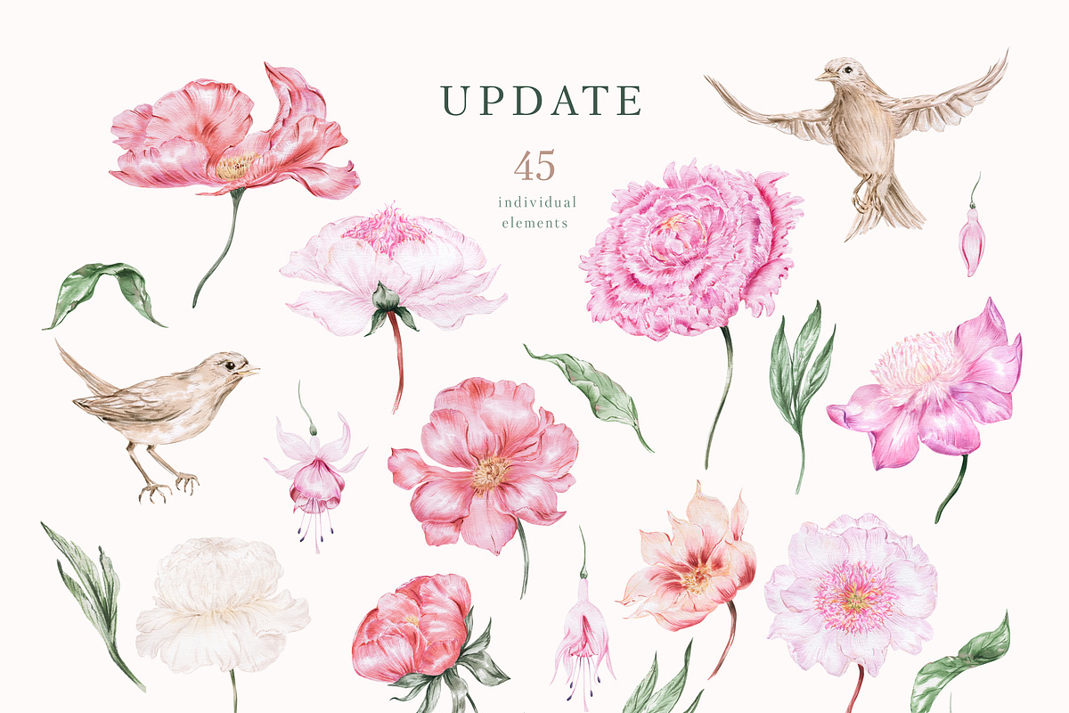 Peach peonies, roses, garden flowers, an Illustration by astelenadesign (Photo 15 of 16)