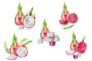 Watercolor tropical fruits., an Illustration by TaPilipa (Thumbnail 3 of 39)