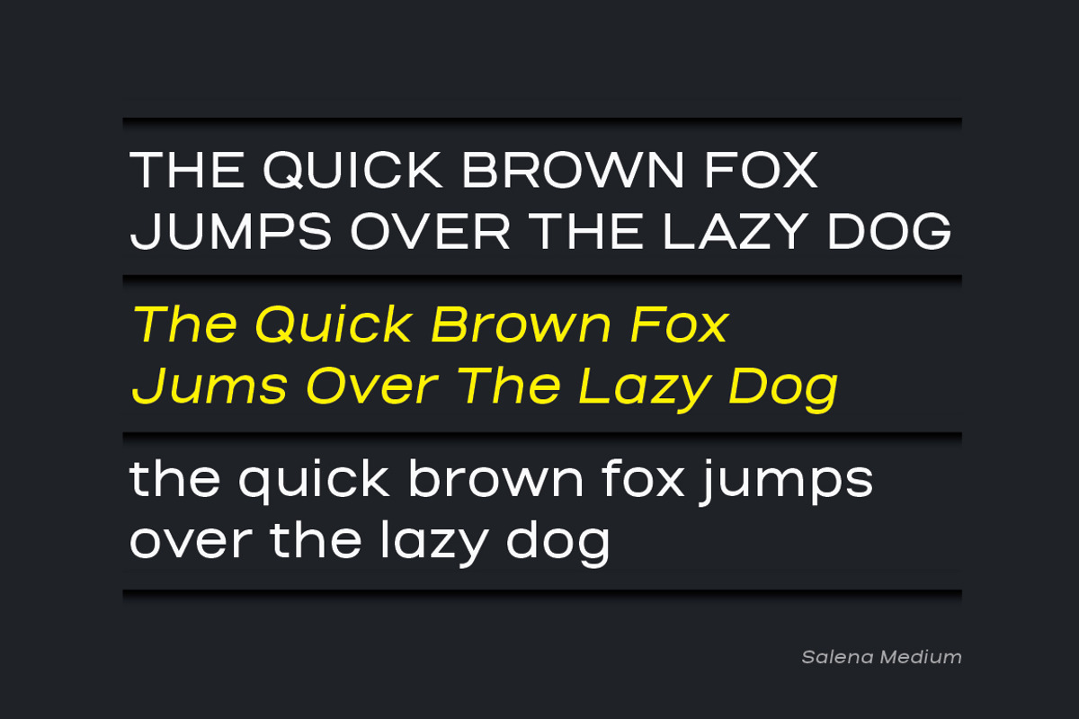 Salena – Minimalist Sans, a Sans Serif Font by Typebae (Photo 4 of 12)