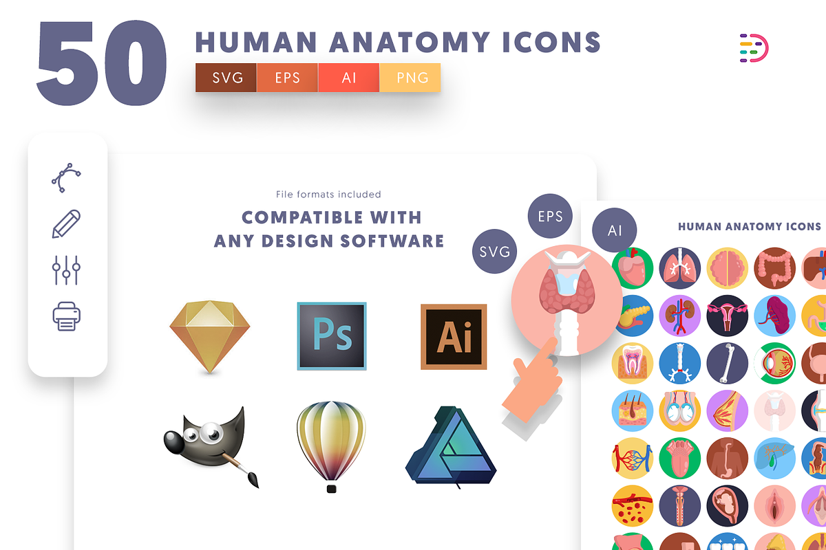 50 Human Anatomy Icons, an Icon by Dighital (Photo 9 of 10)