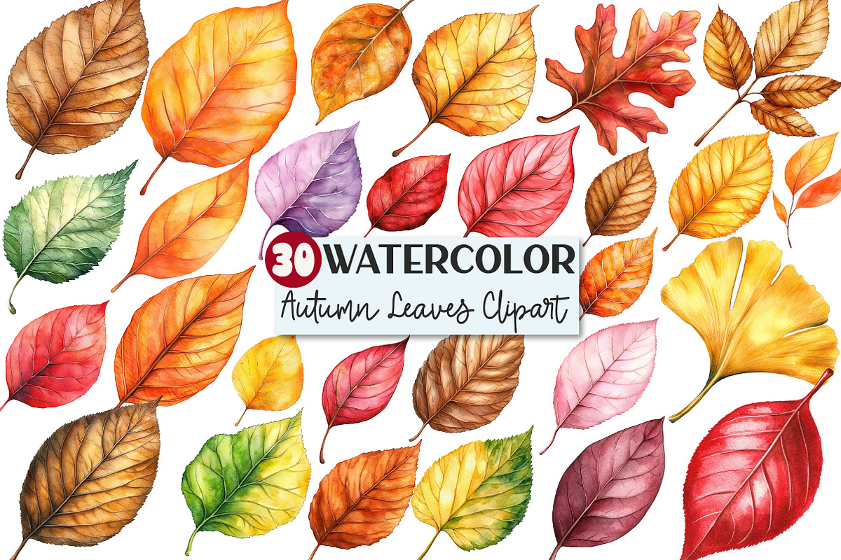Watercolor Autumn Leaves clipart, an Illustration by Rose Art (Photo 1 of 4)