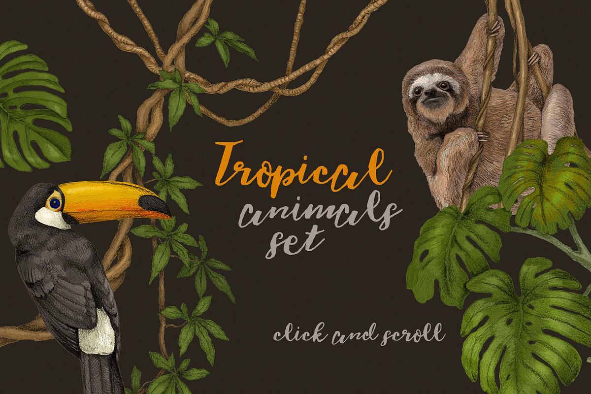 Tropical jungle animals, plants set, an Animal Illustration by Alamella (Photo 2 of 8)