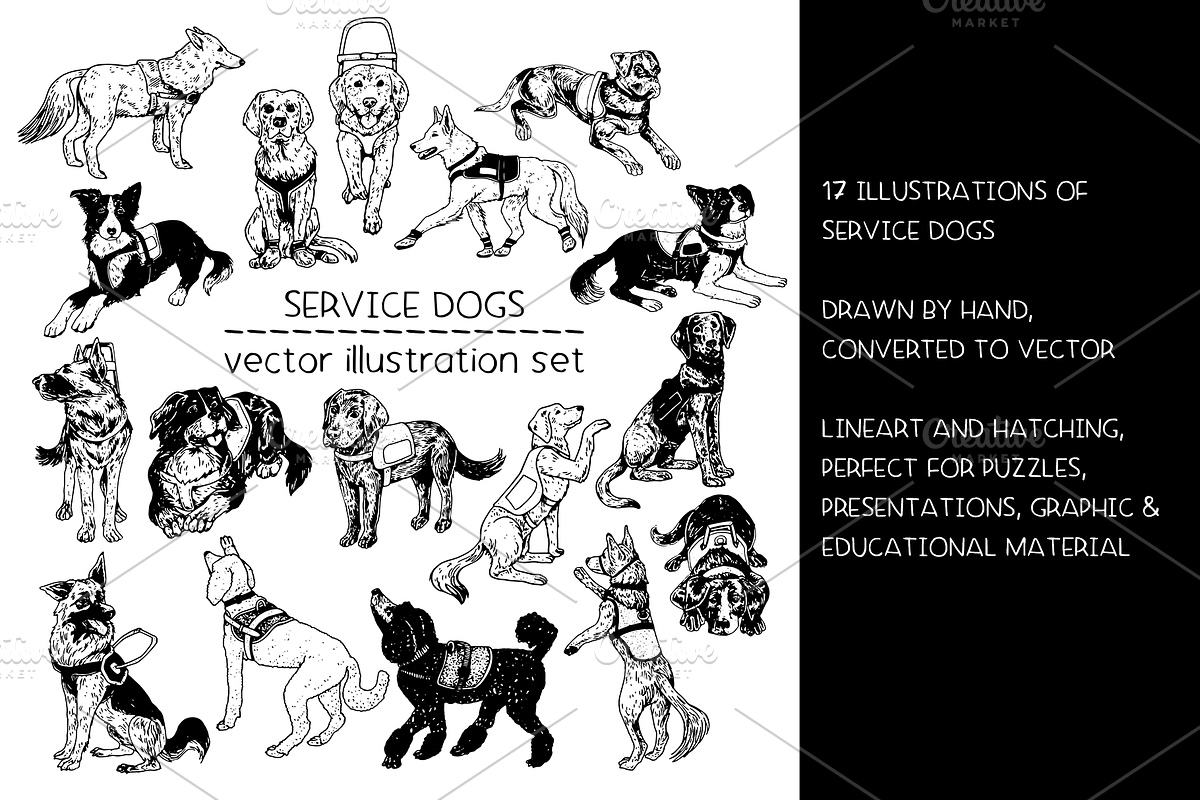 Service dogs - vector illustrations, an Animal Illustration by Renée from Studio neetje (Photo 2 of 4)