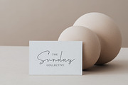 Modern Premade Logo Bundle, a Branding & Logo Template by Forth and Wild (Thumbnail 6 of 11)