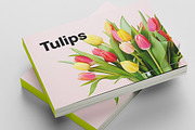 Bouquet of tulips. 56 images, a Holiday Photo by Handmadefont (Thumbnail 11 of 11)