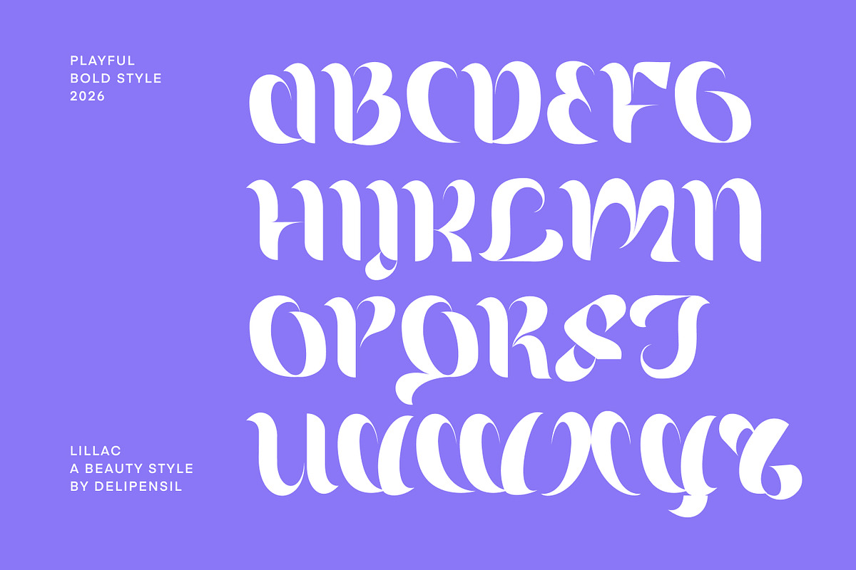 Lillac - A Elegant Beauty Typeface, a Serif Font by delipensil (Photo 6 of 10)