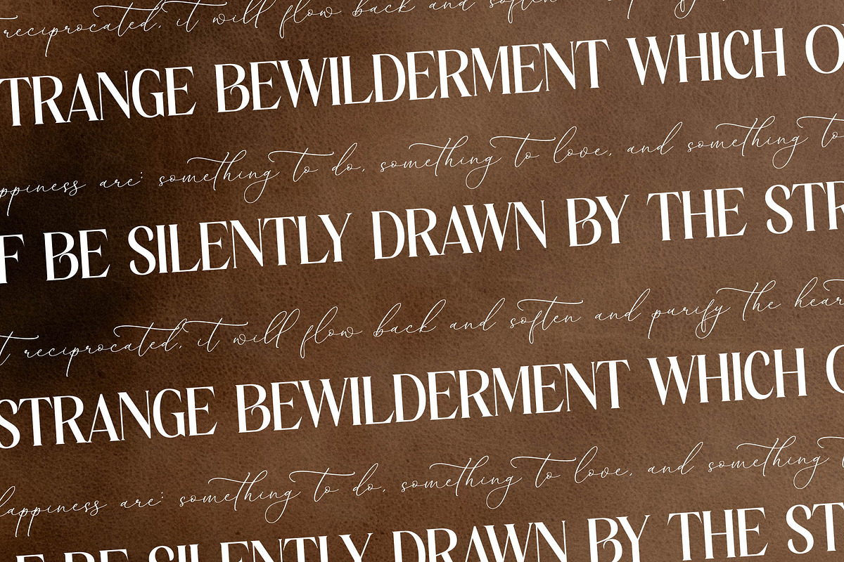 Malenthos Modern Font Duo, a Serif Font by Storytype Studio (Photo 6 of 15)