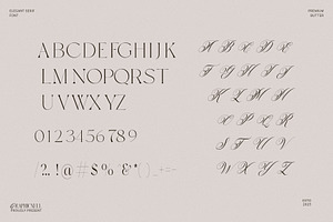 Premium Butter Elegant Serif Font