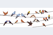 Birds sitting on wires + poster, an Animal Illustration by Good Studio (Thumbnail 2 of 3)