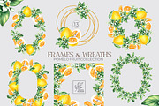 Pomelo Fruit Watercolor Collection, a Food Illustration by SashaKondr (Thumbnail 10 of 13)