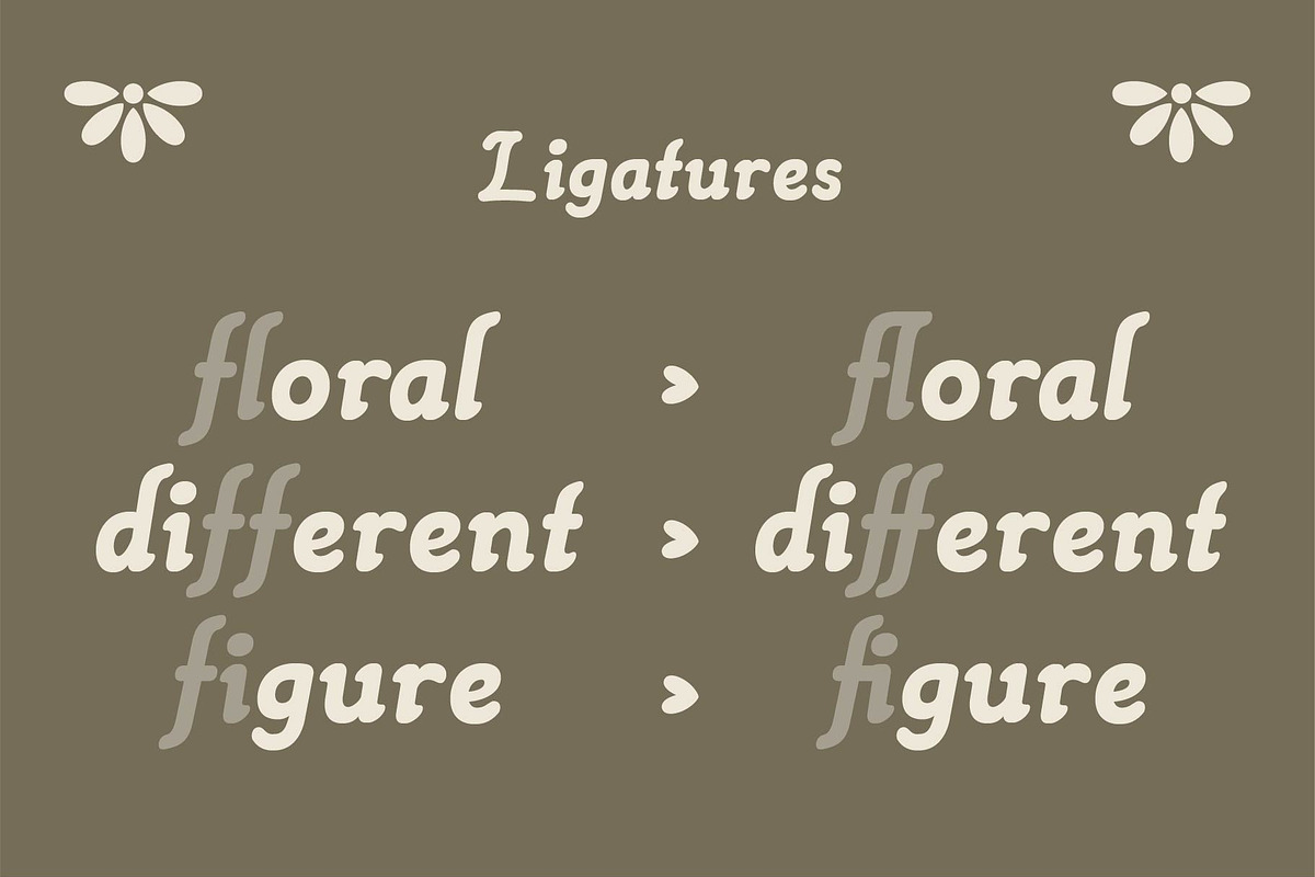 Alephand – A Traditional Script Font, a Serif Font by Hole Hope Design (Photo 5 of 8)