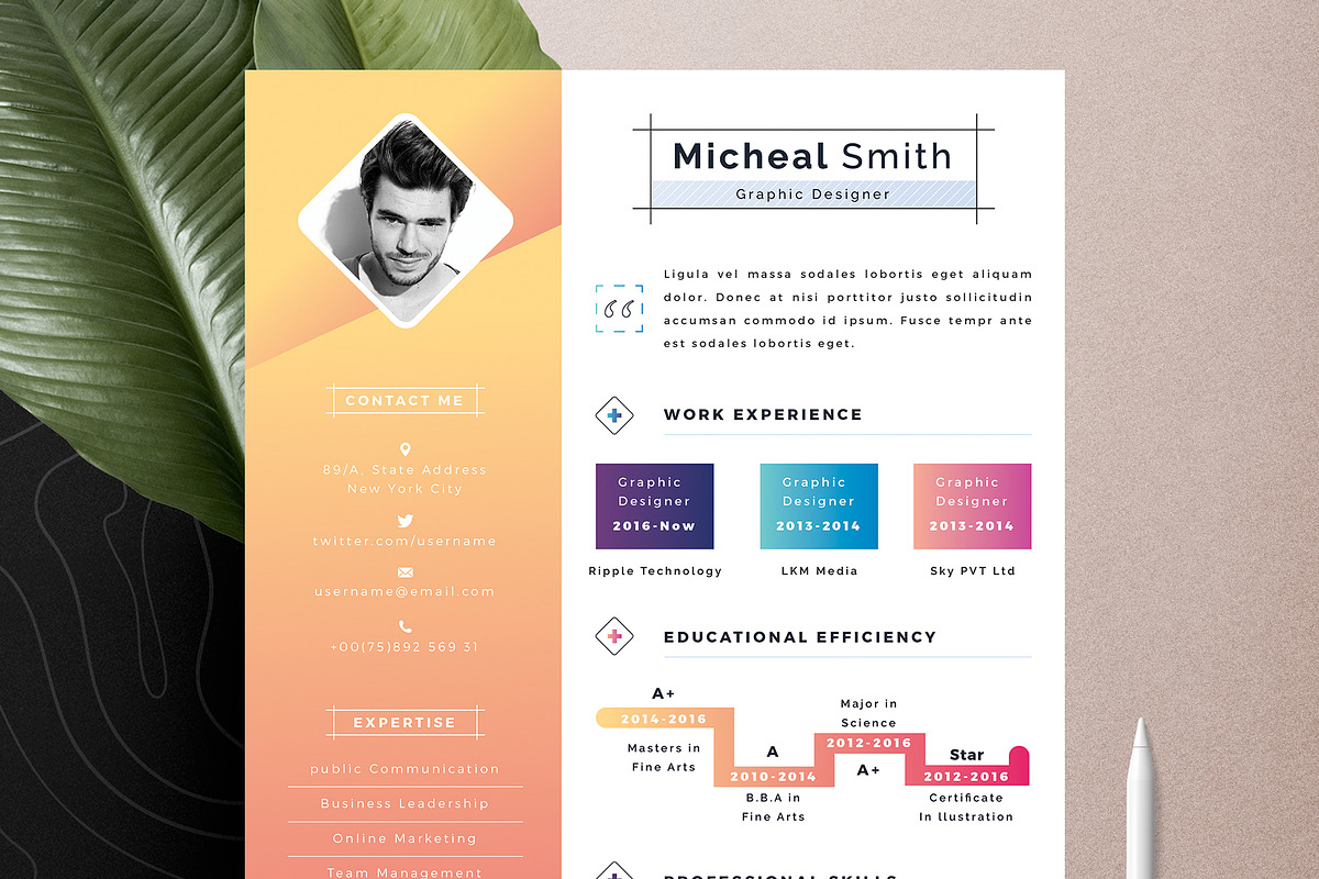 Modern Resume Cv Template, a Resume Template by Tbunny (Photo 6 of 6)