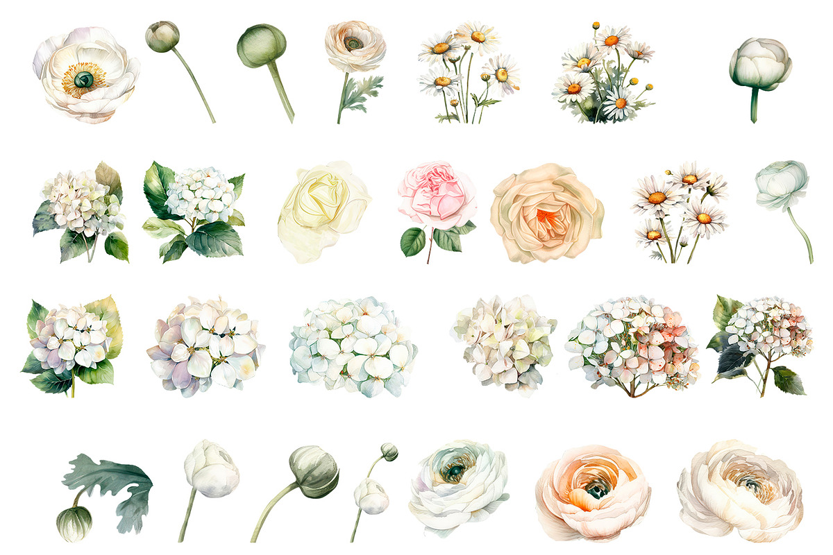 White flower. Watercolor clipart col, a Decorative Illustration by ElenazlataArt (Photo 3 of 9)