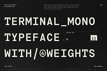 TRT Terminal Monospace Precision