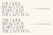 Gementine, a Serif Font by Muksal Creative (Thumbnail 6 of 10)