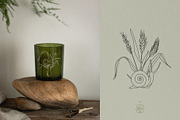 COTTAGECORE HERBARIUM, an Object Illustration by Kate Art (Thumbnail 11 of 22)