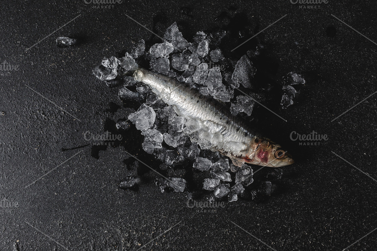 Feeling Catch, a Templates & Theme by Feelings (Photo 5 of 7)