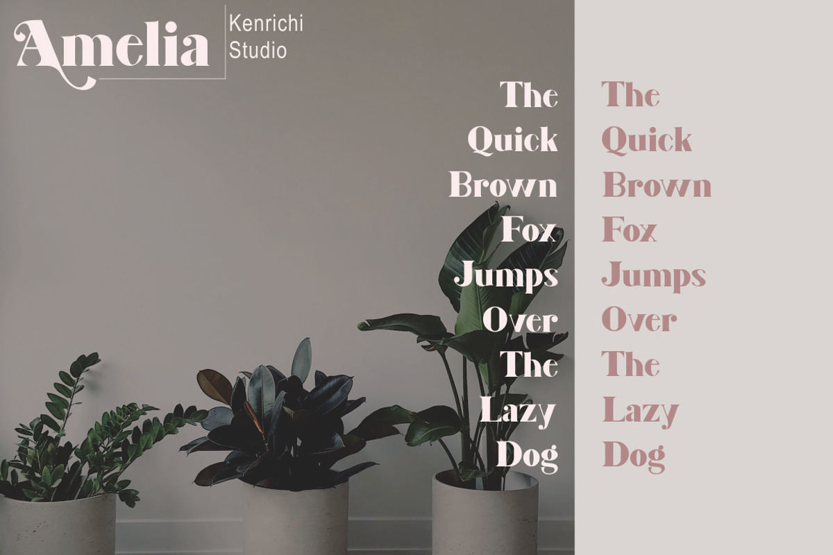 Amelia, a Serif Font by Kenrichi (Photo 3 of 10)